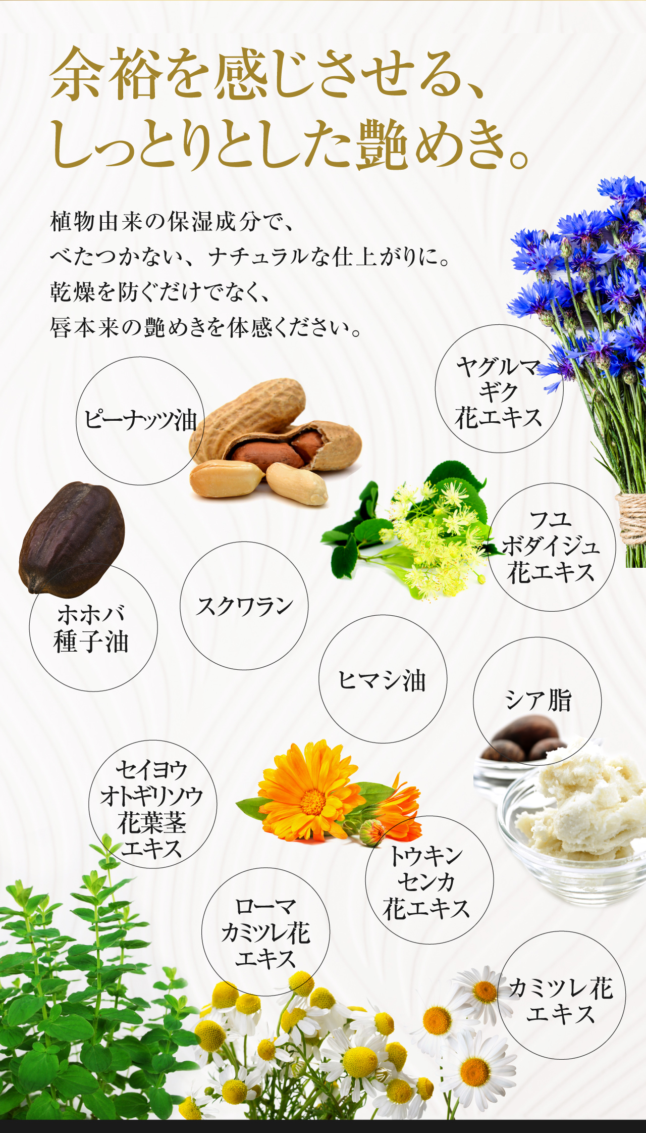 リッププランパーおすすめ人気ランキング ...