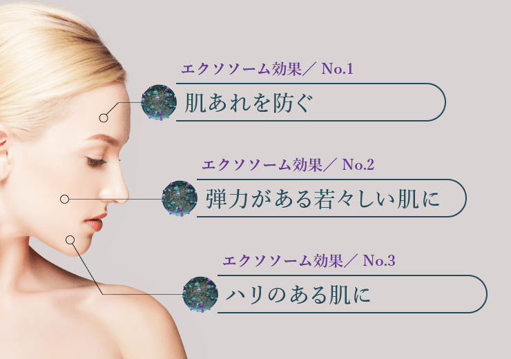 exo PARTICLE エクソパーティクル エクソソーム ｜ Dr.BEAUTOPIA
